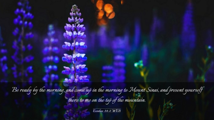 Picture 03 - Exodus 34:2 WEB Desktop Wallpaper - Be ready by the morning, and come up in the - Desktop Bible Verse Wallpaper
