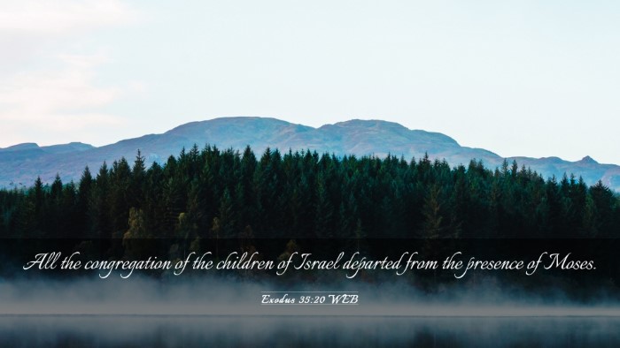 Picture 03 - Exodus 35:20 WEB Desktop Wallpaper - All the congregation of the children of Israel - Desktop Bible Verse Wallpaper
