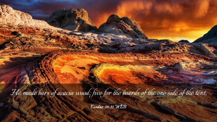 Picture 03 - Exodus 36:31 WEB Desktop Wallpaper - He made bars of acacia wood; five for the boards - Desktop Bible Verse Wallpaper