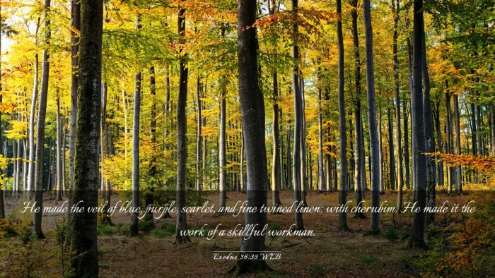 Picture 03 - Exodus 36:35 WEB Desktop Wallpaper - He made the veil of blue, purple, scarlet, and - Desktop Bible Verse Wallpaper