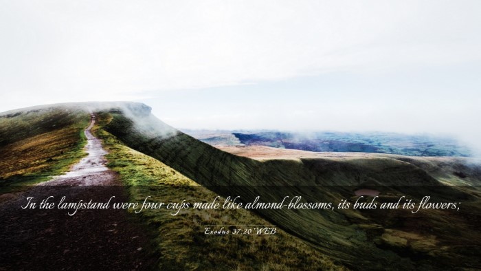 Picture 03 - Exodus 37:20 WEB Desktop Wallpaper - In the lampstand were four cups made like - Desktop Bible Verse Wallpaper