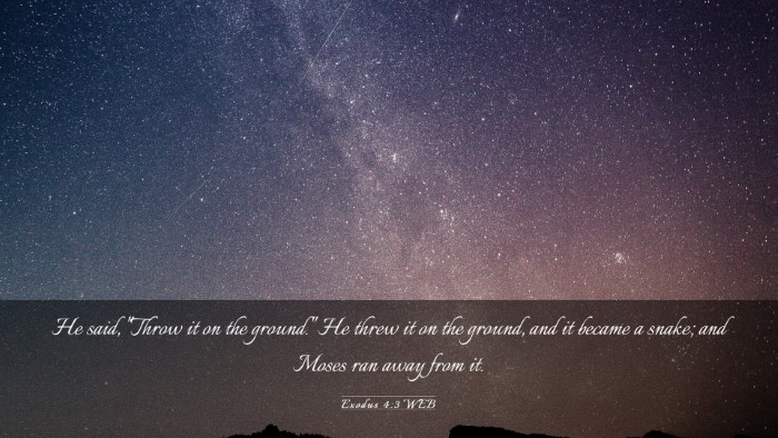 Picture 03 - Exodus 4:3 WEB Desktop Wallpaper - He said, 