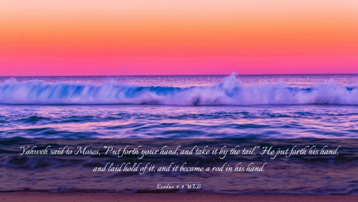 Picture 03 - Exodus 4:4 WEB Desktop Wallpaper - Yahweh said to Moses, 