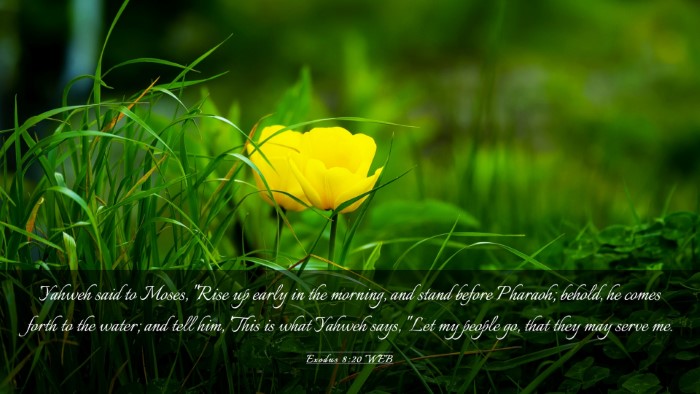 Picture 03 - Exodus 8:20 WEB Desktop Wallpaper - Yahweh said to Moses, 