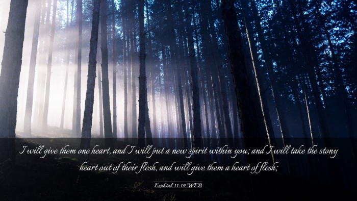 Picture 03 - Ezekiel 11:19 WEB Desktop Wallpaper - I will give them one heart, and I will put a new - Desktop Bible Verse Wallpaper
