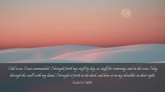Picture 03 - Ezekiel 12:7 WEB Desktop Wallpaper - I did so as I was commanded: I brought forth my - Desktop Bible Verse Wallpaper