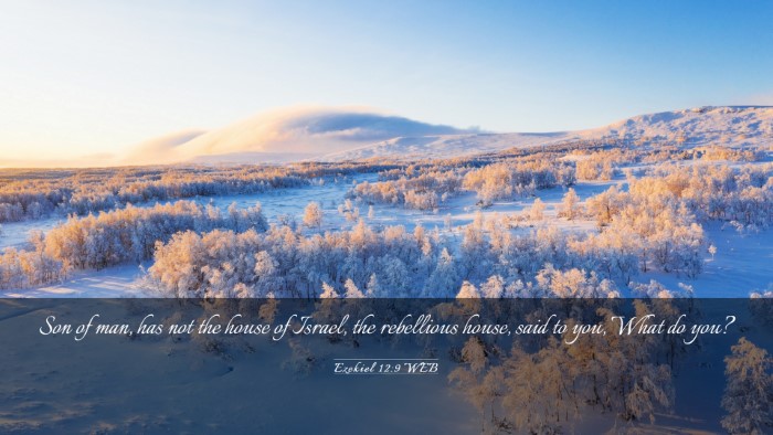Picture 03 - Ezekiel 12:9 WEB Desktop Wallpaper - Son of man, has not the house of Israel, the - Desktop Bible Verse Wallpaper