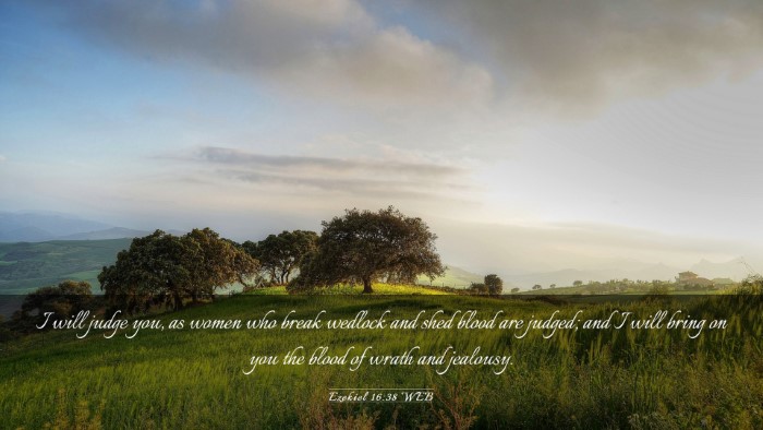 Picture 03 - Ezekiel 16:38 WEB Desktop Wallpaper - I will judge you, as women who break wedlock and - Desktop Bible Verse Wallpaper
