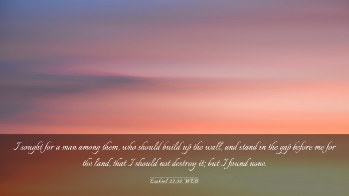 Picture 03 - Ezekiel 22:30 WEB Desktop Wallpaper - I sought for a man among them, who should build - Desktop Bible Verse Wallpaper