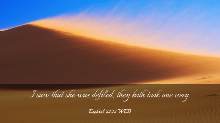 Picture 03 - Ezekiel 23:13 WEB Desktop Wallpaper - I saw that she was defiled; they both took one - Desktop Bible Verse Wallpaper