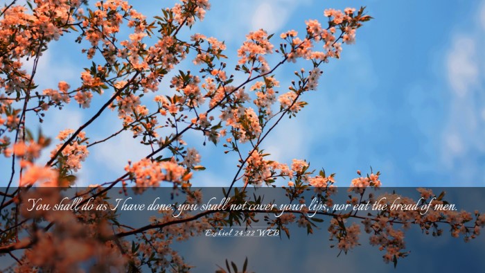 Picture 03 - Ezekiel 24:22 WEB Desktop Wallpaper - You shall do as I have done: you shall not cover - Desktop Bible Verse Wallpaper