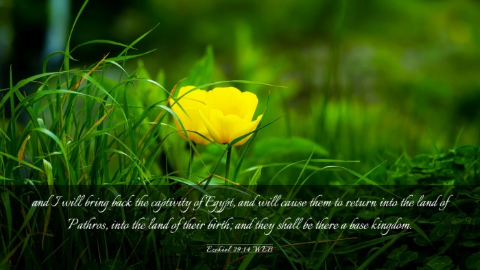 Picture 03 - Ezekiel 29:14 WEB Desktop Wallpaper - and I will bring back the captivity of Egypt, and - Desktop Bible Verse Wallpaper