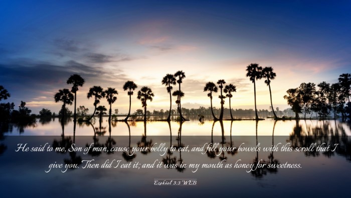 Picture 03 - Ezekiel 3:3 WEB Desktop Wallpaper - He said to me, Son of man, cause your belly to - Desktop Bible Verse Wallpaper