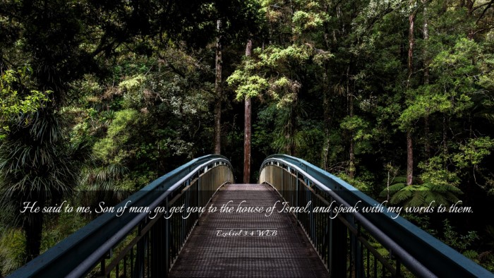 Picture 03 - Ezekiel 3:4 WEB Desktop Wallpaper - He said to me, Son of man, go, get you to the - Desktop Bible Verse Wallpaper