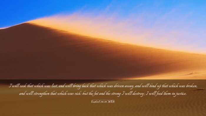 Picture 03 - Ezekiel 34:16 WEB Desktop Wallpaper - I will seek that which was lost, and will bring - Desktop Bible Verse Wallpaper