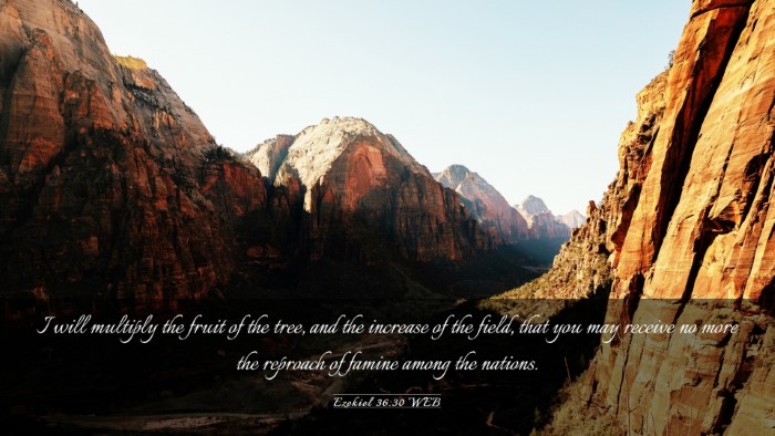 Picture 03 - Ezekiel 36:30 WEB Desktop Wallpaper - I will multiply the fruit of the tree, and the - Desktop Bible Verse Wallpaper