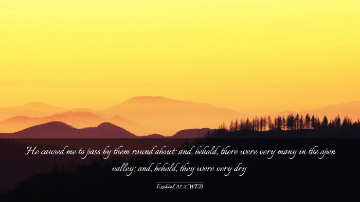 Picture 03 - Ezekiel 37:2 WEB Desktop Wallpaper - He caused me to pass by them round about: and, - Desktop Bible Verse Wallpaper