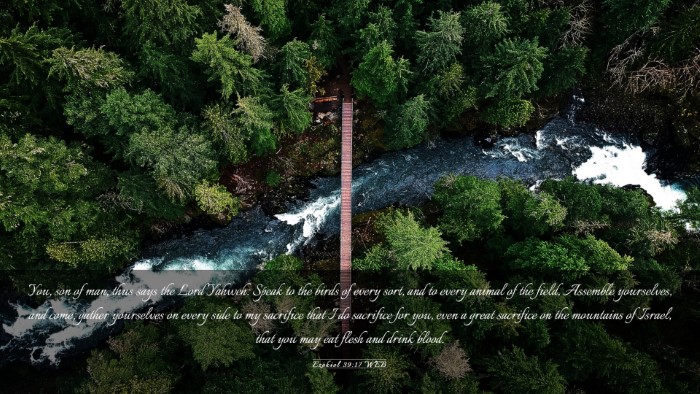 Picture 03 - Ezekiel 39:17 WEB Desktop Wallpaper - You, son of man, thus says the Lord Yahweh: Speak - Desktop Bible Verse Wallpaper