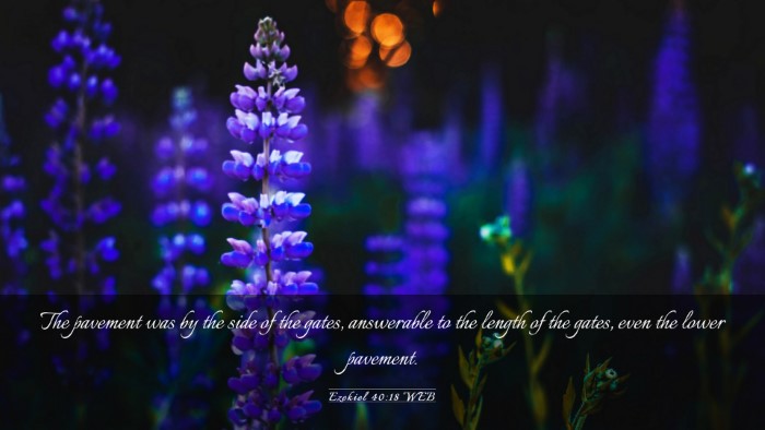 Picture 03 - Ezekiel 40:18 WEB Desktop Wallpaper - The pavement was by the side of the gates, - Desktop Bible Verse Wallpaper
