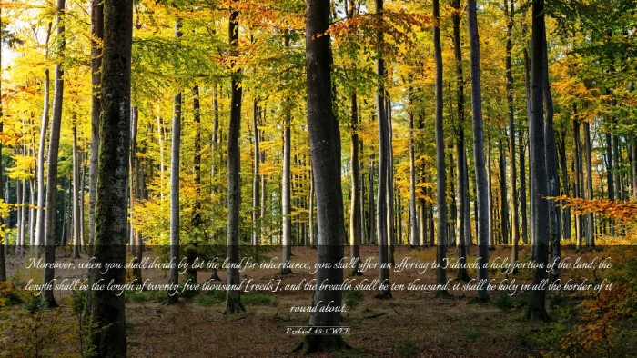 Picture 03 - Ezekiel 45:1 WEB Desktop Wallpaper - Moreover, when you shall divide by lot the land - Desktop Bible Verse Wallpaper