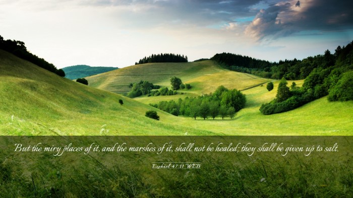 Picture 03 - Ezekiel 47:11 WEB Desktop Wallpaper - But the miry places of it, and the marshes of it, - Desktop Bible Verse Wallpaper