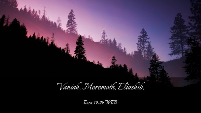 Picture 03 - Ezra 10:36 WEB Desktop Wallpaper - Vaniah, Meremoth, - Desktop Bible Verse Wallpaper