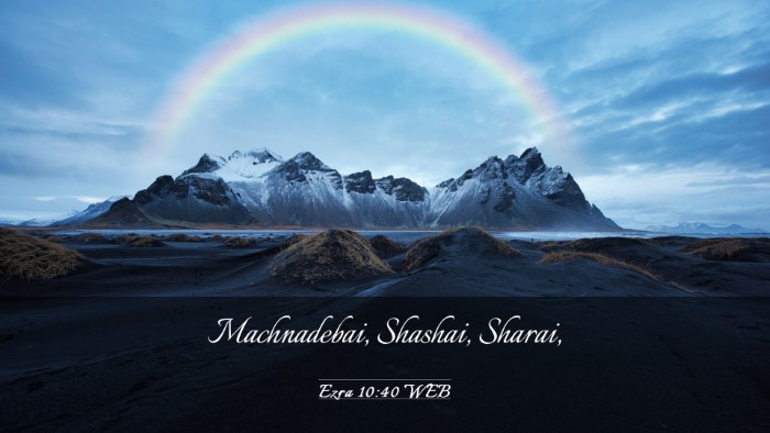 Picture 03 - Ezra 10:40 WEB Desktop Wallpaper - Machnadebai, Shashai, - Desktop Bible Verse Wallpaper
