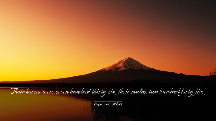 Picture 03 - Ezra 2:66 WEB Desktop Wallpaper - Their horses were seven hundred thirty-six; their - Desktop Bible Verse Wallpaper