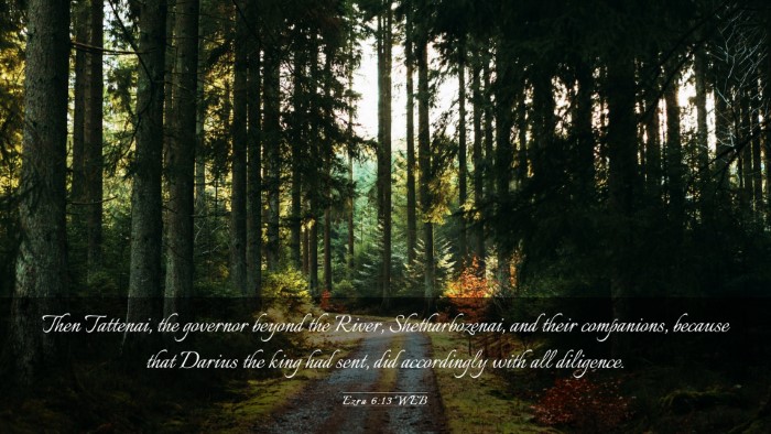 Picture 03 - Ezra 6:13 WEB Desktop Wallpaper - Then Tattenai, the governor beyond the River, - Desktop Bible Verse Wallpaper