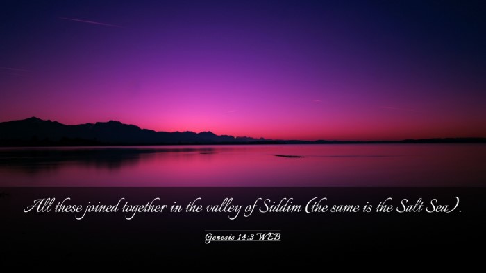 Picture 03 - Genesis 14:3 WEB Desktop Wallpaper - All these joined together in the valley of Siddim - Desktop Bible Verse Wallpaper