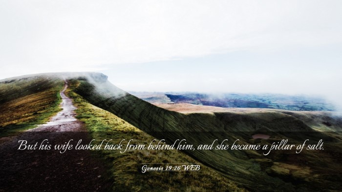 Picture 03 - Genesis 19:26 WEB Desktop Wallpaper - But his wife looked back from behind him, and she - Desktop Bible Verse Wallpaper