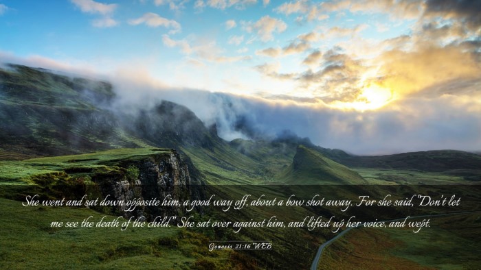 Picture 03 - Genesis 21:16 WEB Desktop Wallpaper - She went and sat down opposite him, a good way - Desktop Bible Verse Wallpaper