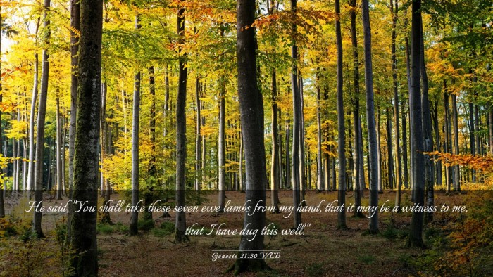 Picture 03 - Genesis 21:30 WEB Desktop Wallpaper - He said, 