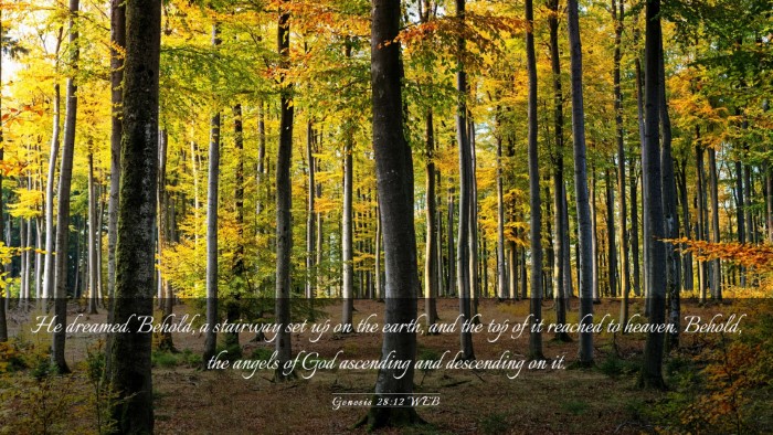 Picture 03 - Genesis 28:12 WEB Desktop Wallpaper - He dreamed. Behold, a stairway set up on the - Desktop Bible Verse Wallpaper