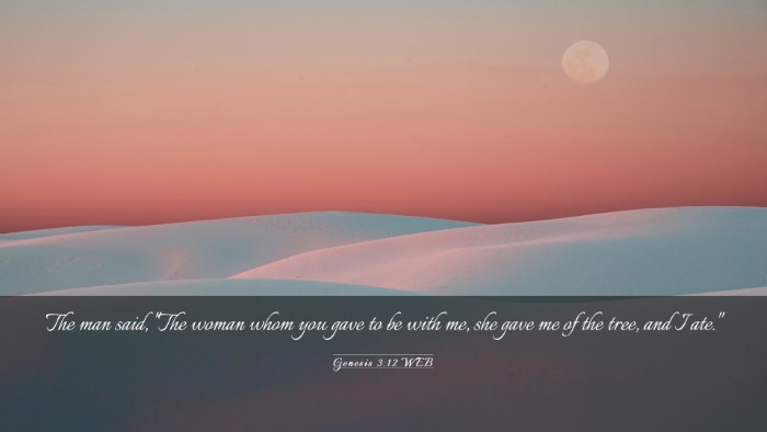 Picture 03 - Genesis 3:12 WEB Desktop Wallpaper - The man said, 