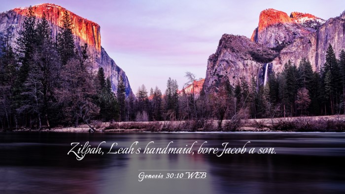 Picture 03 - Genesis 30:10 WEB Desktop Wallpaper - Zilpah, Leah's handmaid, bore Jacob a - Desktop Bible Verse Wallpaper