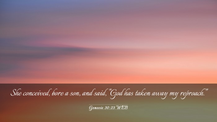 Picture 03 - Genesis 30:23 WEB Desktop Wallpaper - She conceived, bore a son, and said, 