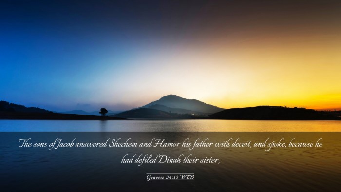 Picture 03 - Genesis 34:13 WEB Desktop Wallpaper - The sons of Jacob answered Shechem and Hamor his - Desktop Bible Verse Wallpaper