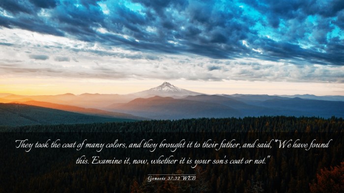 Picture 03 - Genesis 37:32 WEB Desktop Wallpaper - They took the coat of many colors, and they - Desktop Bible Verse Wallpaper