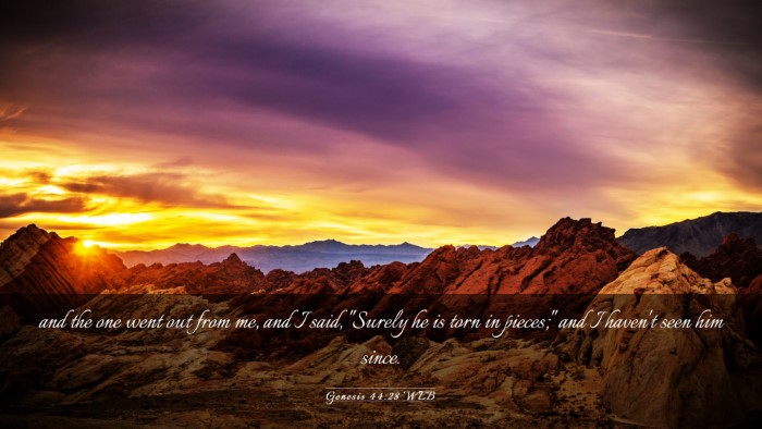 Picture 03 - Genesis 44:28 WEB Desktop Wallpaper - and the one went out from me, and I said, 