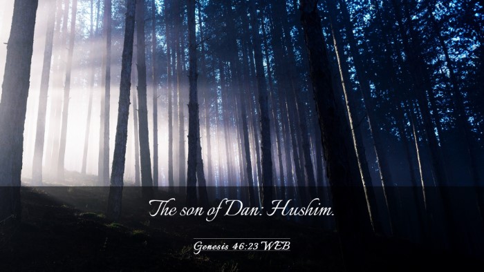 Picture 03 - Genesis 46:23 WEB Desktop Wallpaper - The son of Dan: - Desktop Bible Verse Wallpaper