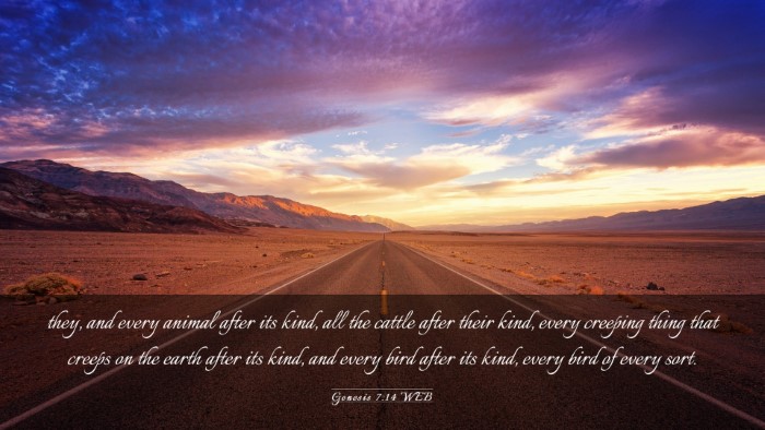 Picture 03 - Genesis 7:14 WEB Desktop Wallpaper - they, and every animal after its kind, all the - Desktop Bible Verse Wallpaper
