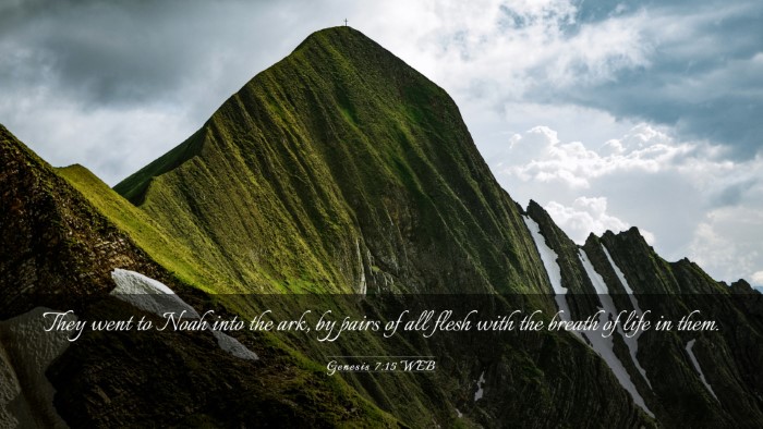 Picture 03 - Genesis 7:15 WEB Desktop Wallpaper - They went to Noah into the ark, by pairs of all - Desktop Bible Verse Wallpaper