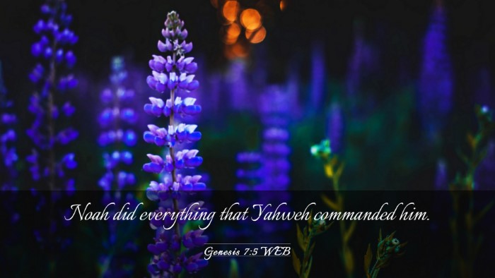 Picture 03 - Genesis 7:5 WEB Desktop Wallpaper - Noah did everything that Yahweh commanded - Desktop Bible Verse Wallpaper