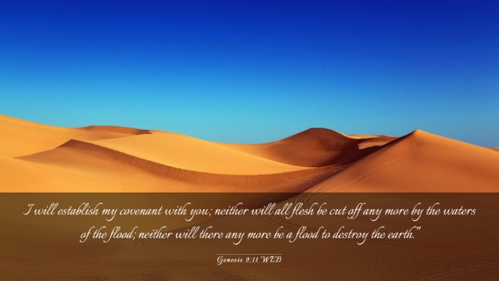 Picture 03 - Genesis 9:11 WEB Desktop Wallpaper - I will establish my covenant with you; neither - Desktop Bible Verse Wallpaper