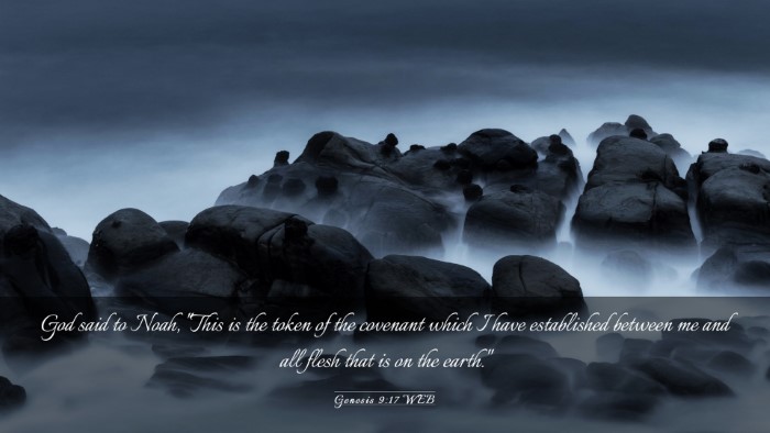 Picture 03 - Genesis 9:17 WEB Desktop Wallpaper - God said to Noah, 