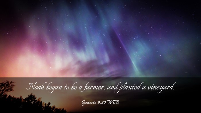 Picture 03 - Genesis 9:20 WEB Desktop Wallpaper - Noah began to be a farmer, and planted a - Desktop Bible Verse Wallpaper