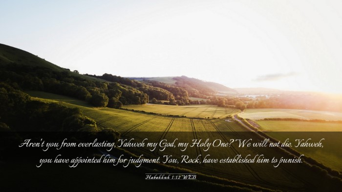 Picture 03 - Habakkuk 1:12 WEB Desktop Wallpaper - Aren't you from everlasting, Yahweh my God, my - Desktop Bible Verse Wallpaper