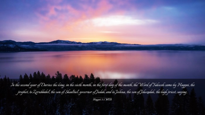 Picture 03 - Haggai 1:1 WEB Desktop Wallpaper - In the second year of Darius the king, in the - Desktop Bible Verse Wallpaper