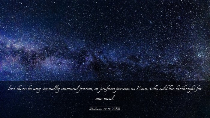 Picture 03 - Hebrews 12:16 WEB Desktop Wallpaper - lest there be any sexually immoral person, or - Desktop Bible Verse Wallpaper